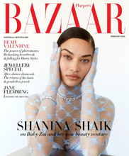 Load image into Gallery viewer, 12 issue subscription